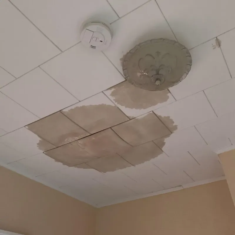 Ceiling Water Damage Repair in Stratford, NH