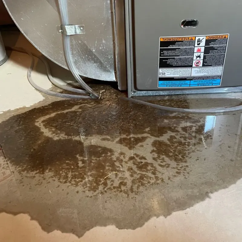 Pipe Burst and Leak Restoration in Stratford, NH